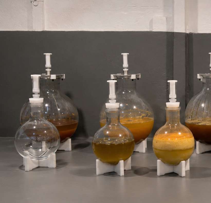 Wine globes de borosilicato en fermentación